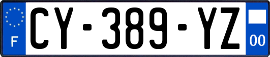 CY-389-YZ