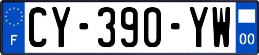 CY-390-YW