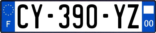 CY-390-YZ