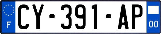 CY-391-AP