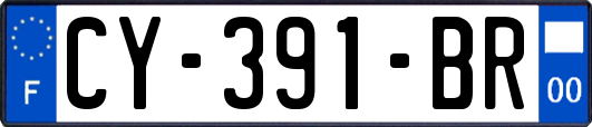 CY-391-BR
