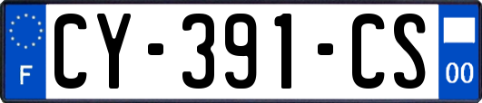 CY-391-CS