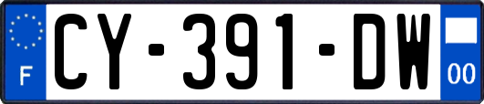 CY-391-DW