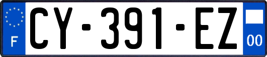 CY-391-EZ