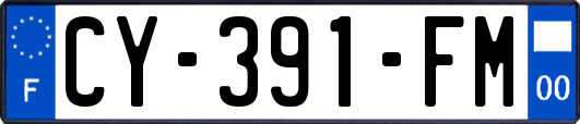 CY-391-FM