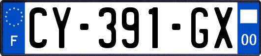 CY-391-GX