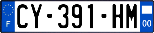 CY-391-HM