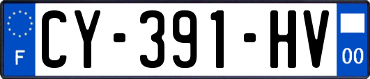 CY-391-HV