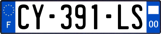 CY-391-LS