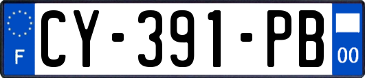 CY-391-PB