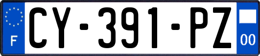 CY-391-PZ