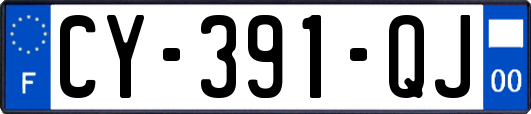 CY-391-QJ