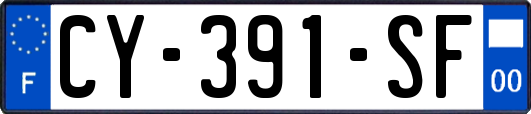 CY-391-SF