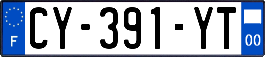 CY-391-YT
