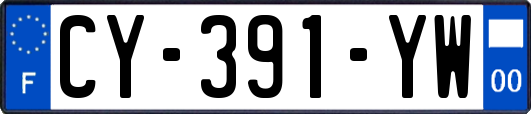 CY-391-YW