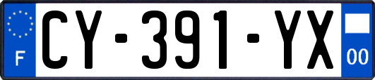 CY-391-YX