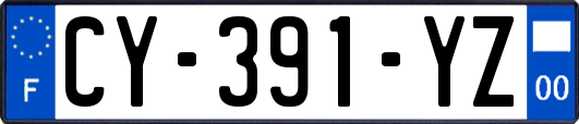 CY-391-YZ