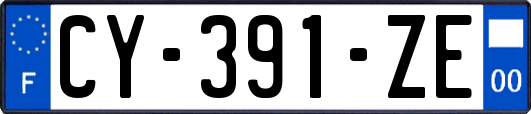 CY-391-ZE
