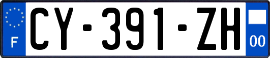 CY-391-ZH