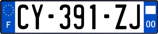 CY-391-ZJ