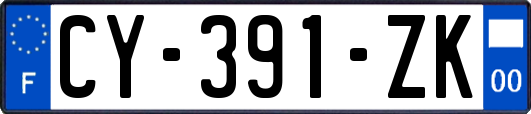 CY-391-ZK