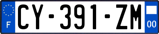 CY-391-ZM
