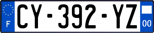 CY-392-YZ