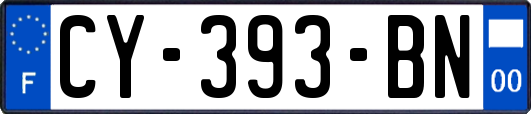 CY-393-BN