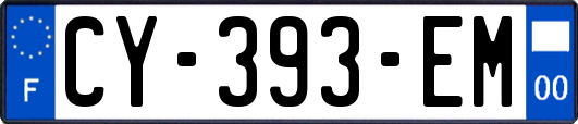 CY-393-EM