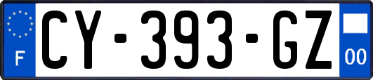 CY-393-GZ