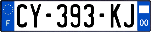 CY-393-KJ