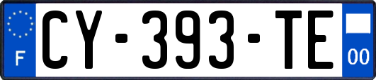 CY-393-TE