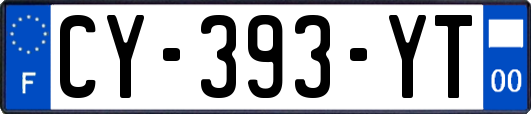 CY-393-YT