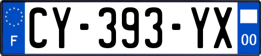 CY-393-YX