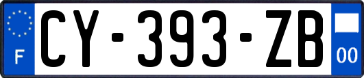 CY-393-ZB