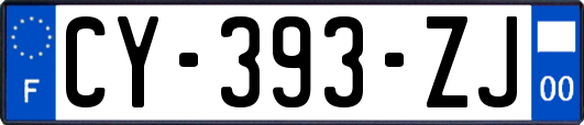 CY-393-ZJ