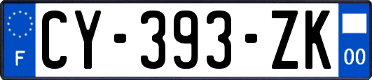 CY-393-ZK