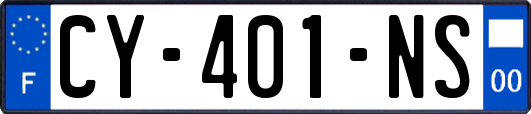 CY-401-NS