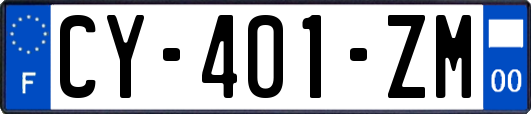 CY-401-ZM