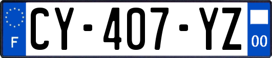 CY-407-YZ