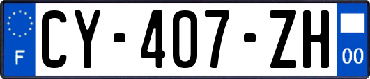 CY-407-ZH