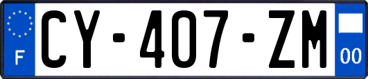 CY-407-ZM