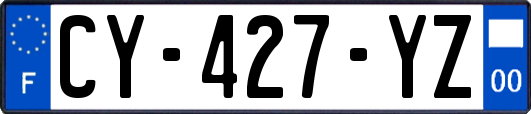 CY-427-YZ