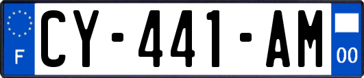 CY-441-AM