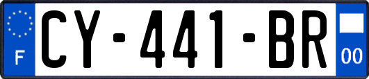 CY-441-BR