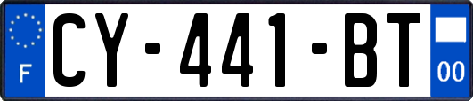 CY-441-BT