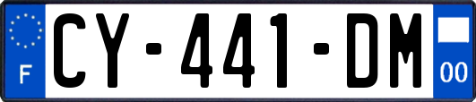 CY-441-DM