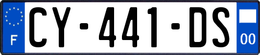 CY-441-DS