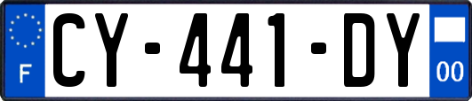 CY-441-DY