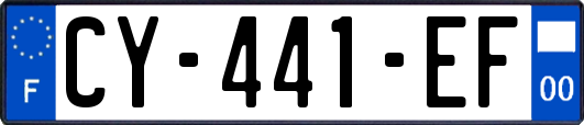 CY-441-EF